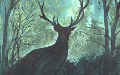 Stróżka. Kolor – Pamięć – Emocje