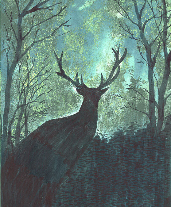 Stróżka. Kolor – Pamięć – Emocje